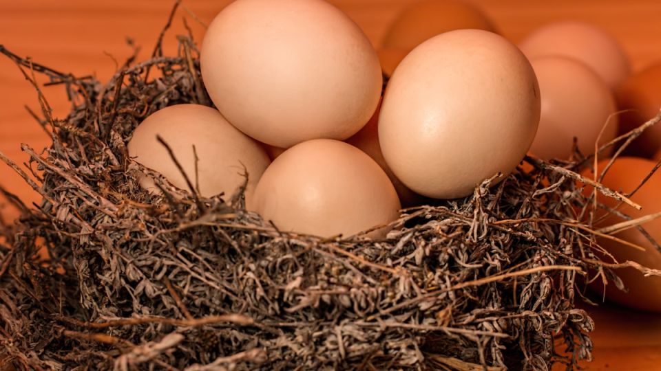 Яйцо – продукт, который можно включать в свой рацион при высоком холестерине: нужно помнить о некоторых правилах Яйцо – продукт, который можно включать в свой рацион при высоком холестерине: нужно помнить о некоторых правилах