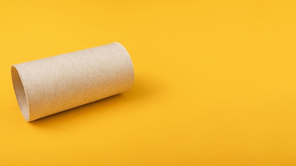 Используйте втулки от туалетной бумаги: 3 совета для дачников — экономия на мелочах Используйте втулки от туалетной бумаги: 3 совета для дачников — экономия на мелочах