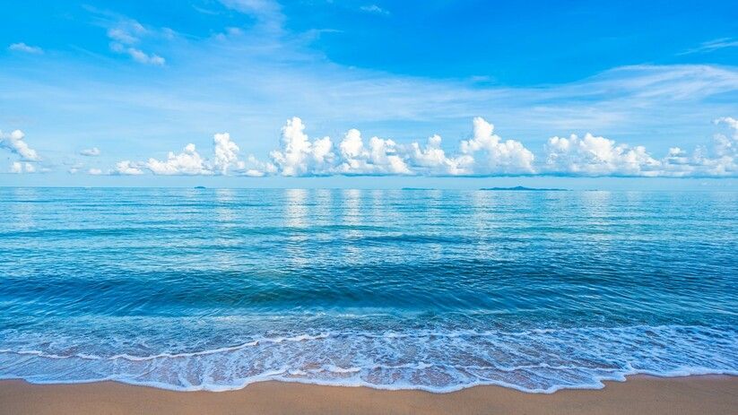 Naked Science: Новый остров в Каспийском море возник из-за обмеления