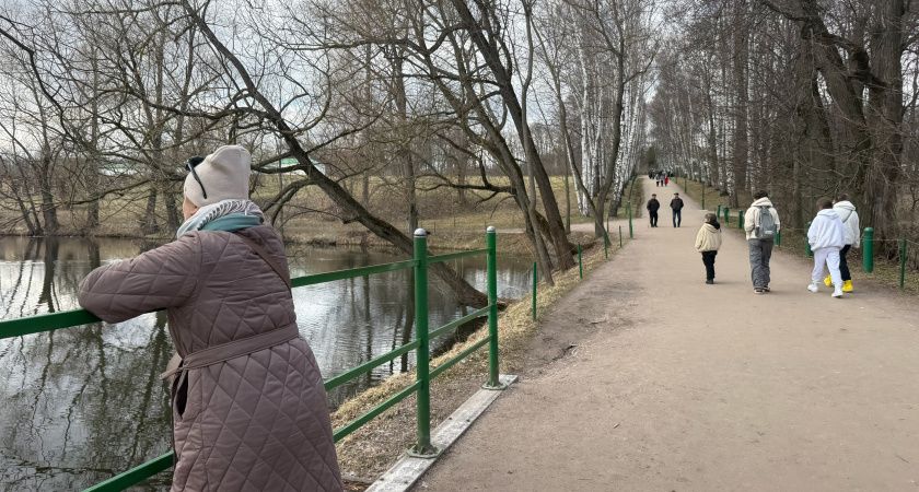 Пенсионный возраст начнут снижать за каждый год стажа – новый приятный сюрприз для россиян