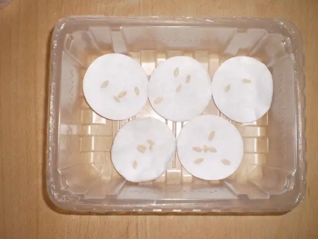    :    