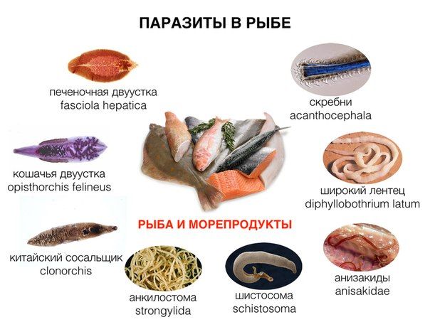      :     