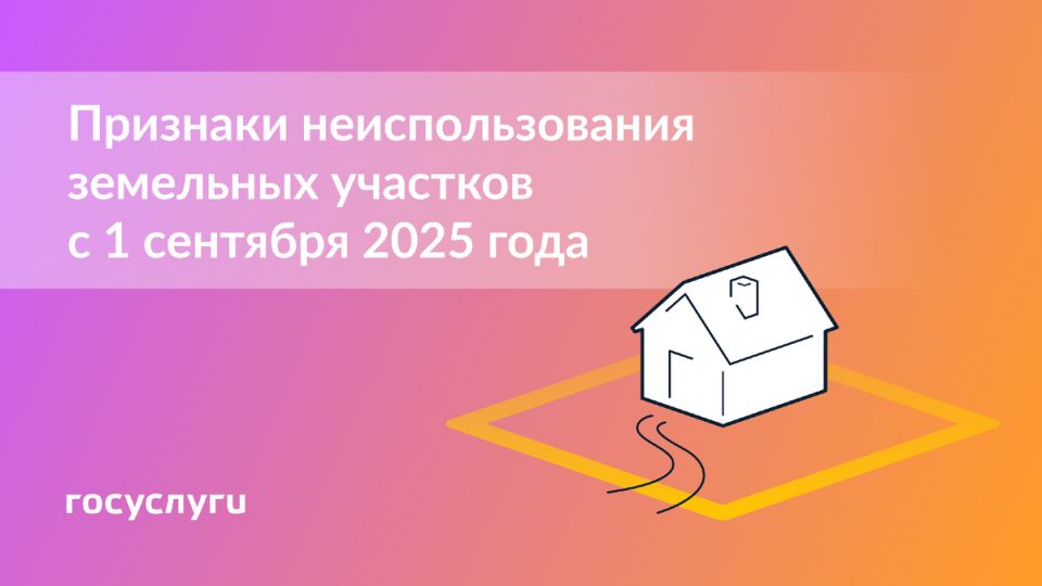         2025 