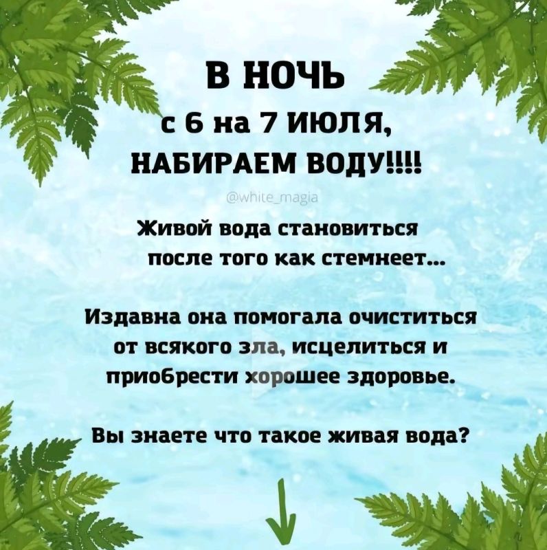   :       