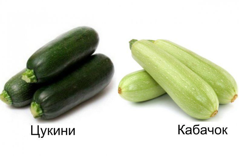   :          ?