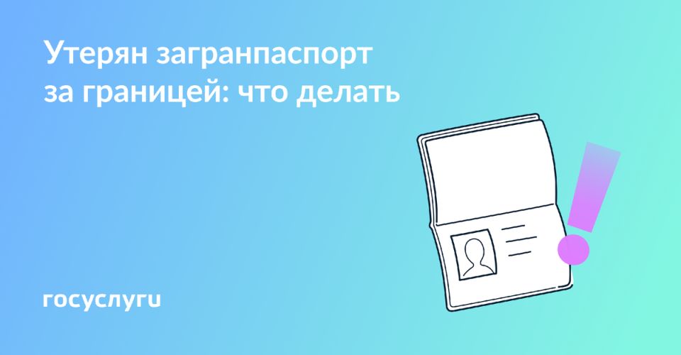  ,     :  