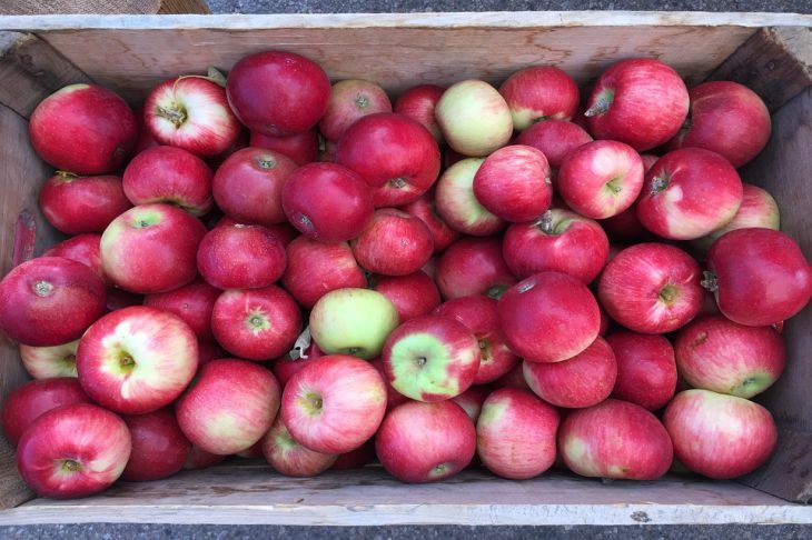 Эффективные монодиеты: 4 продукта из магазина, которые помогут быстро похудеть