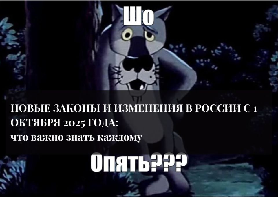 Новые законы и изменения в России с октября 2025 года