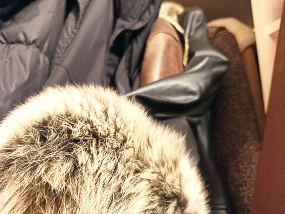 Не дайте моли разрушить ваш гардероб: простые и эффективные методы защиты