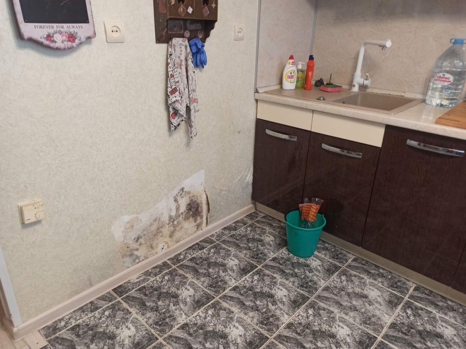 Неочевидные источники плесени: как ее найти