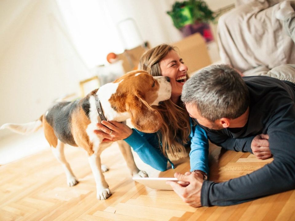 Новые правила: информация о жильцах приватизированных квартир станет доступной