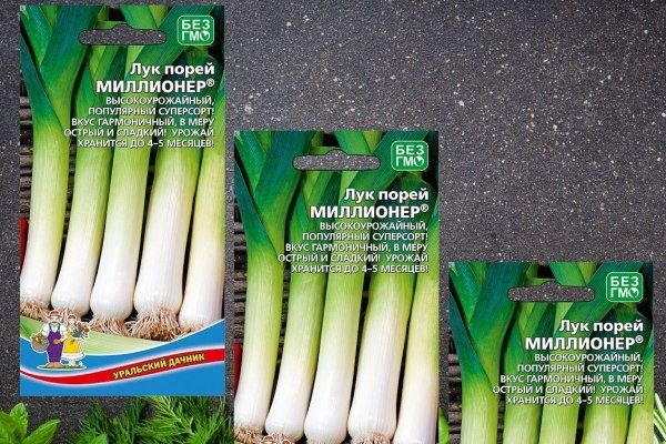 Лук Миллионер: Как удивительный сорт стал фаворитом огородников и кулинаров
