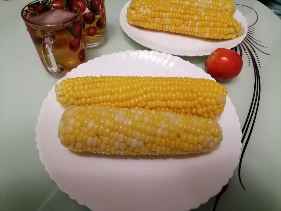 Рейтинг кукурузы: лучшие сорта и гибриды для вашего участка