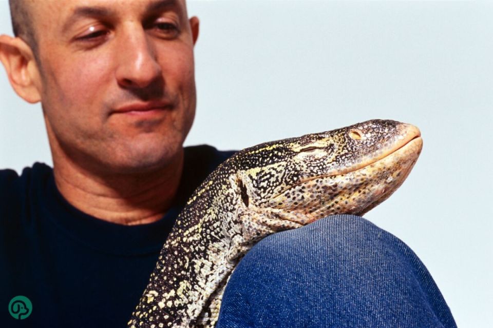 Новые правила содержания экзотических животных: как избежать штрафа в 200 000 рублей