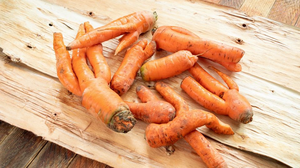 Садоводы забывают про этот нюанс: вот почему морковь растет кривой