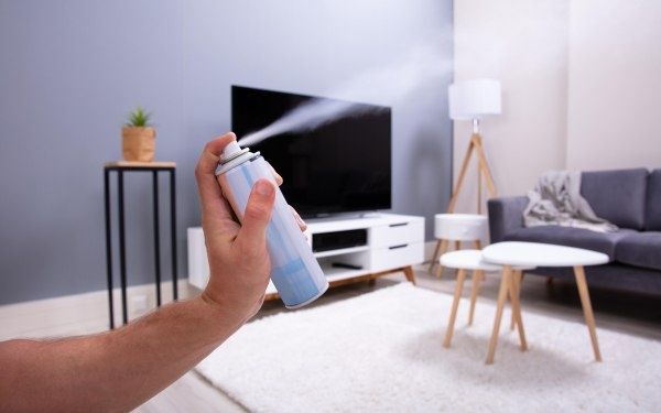 Как освежить атмосферу в квартире: советы по устранению неприятных запахов