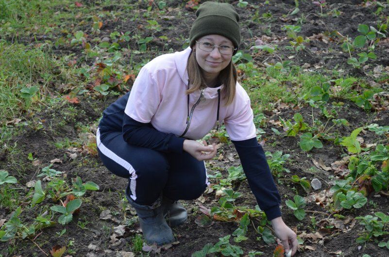 Уникальное соседство: как клубника и чеснок помогают друг другу