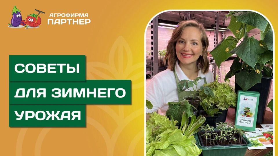 Зимний урожай в вашем доме: секреты успешного огорода