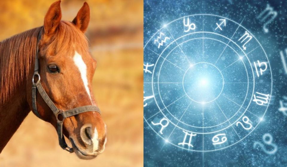 Непередаваемые и загадочные: о том, как знаки Зодиака вдохновляют на выбор лошади