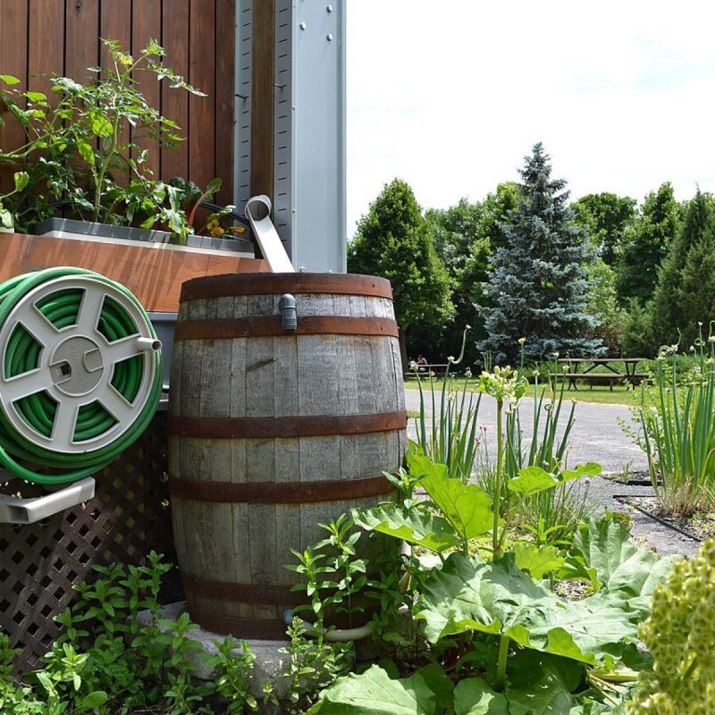 Как старые бочки могут преобразить вашу дачу: вдохновение и идеи