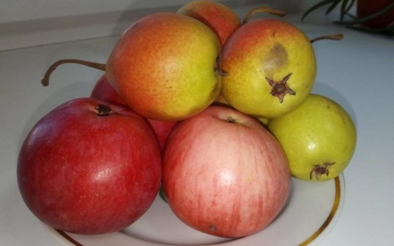 Как правильно мыть фрукты и овощи: советы по безопасности