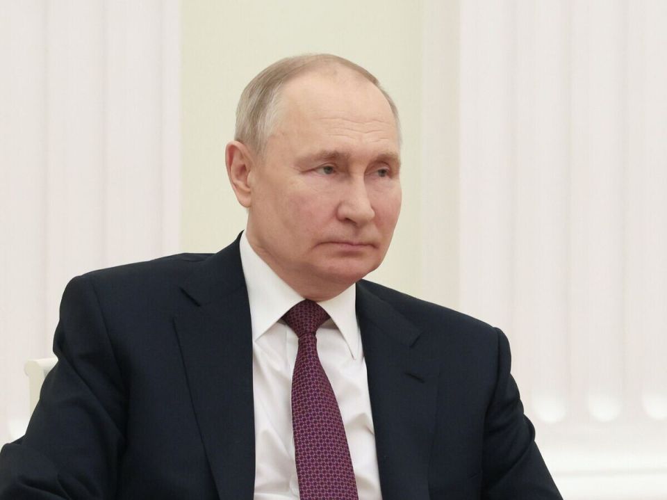 Торговля без границ: новый закон о спецрегулировании в Сириусе