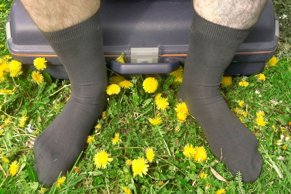 Холостяки только так стирают носки: смешной, но гениальный способ