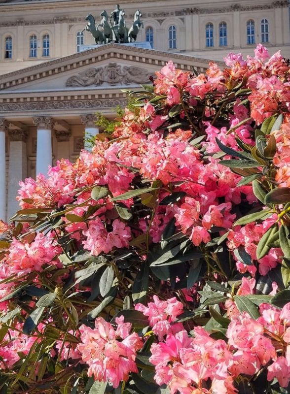 Как провести идеальный день в Москве: экскурсионный маршрут для тех, кто ищет вдохновения