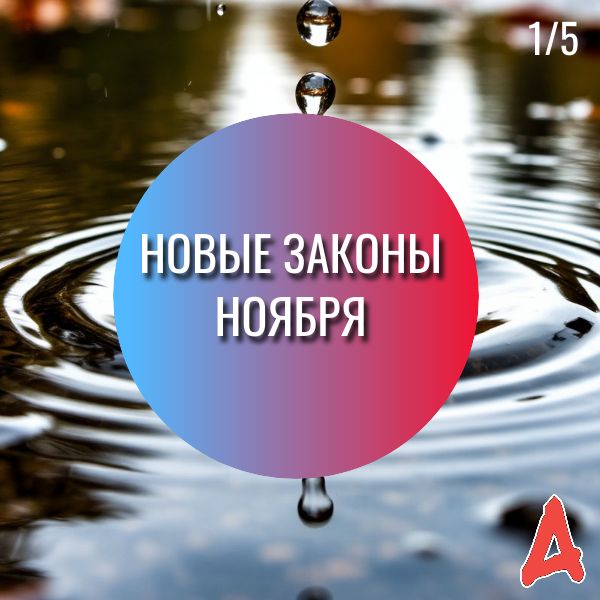 Новые законы ноября: что ожидать в 2025 году