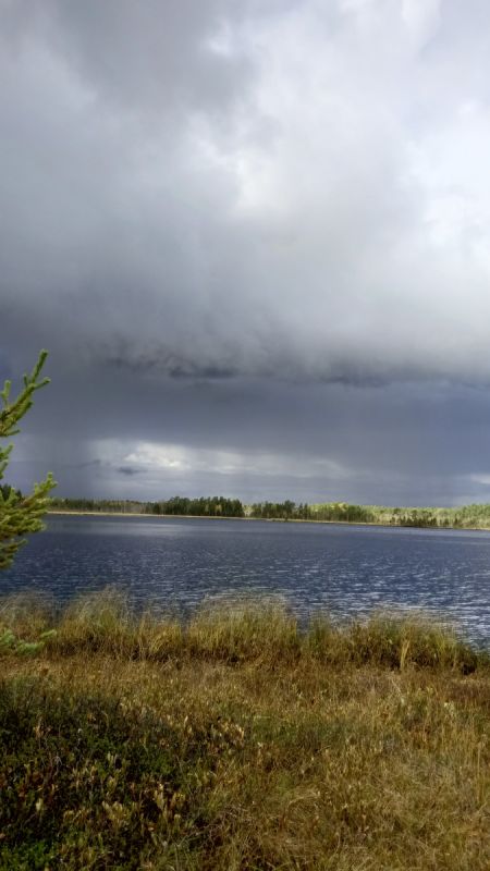 Секреты Карелии: как и где собирать клюкву в лесных просторах