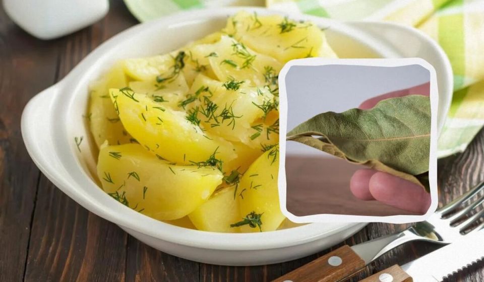 Кулинарные секреты: как правильно солить картошку при варке
