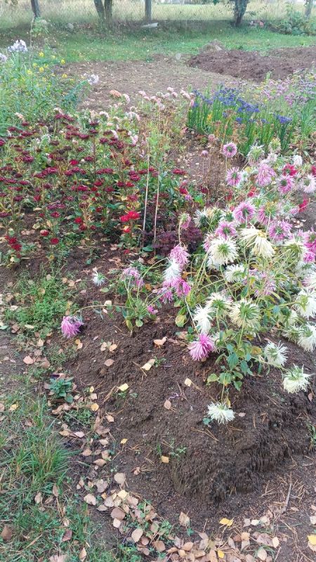 Как доброта объединяет: история о поддержке и надежде