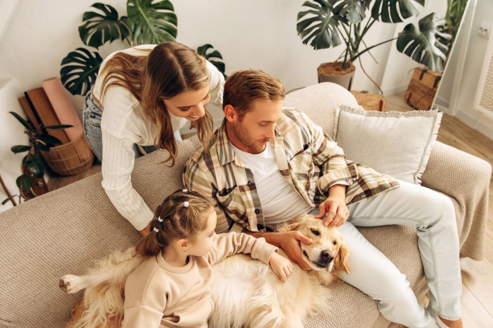 Уникальная ипотечная программа: шанс на собственную квартиру с низкой ставкой