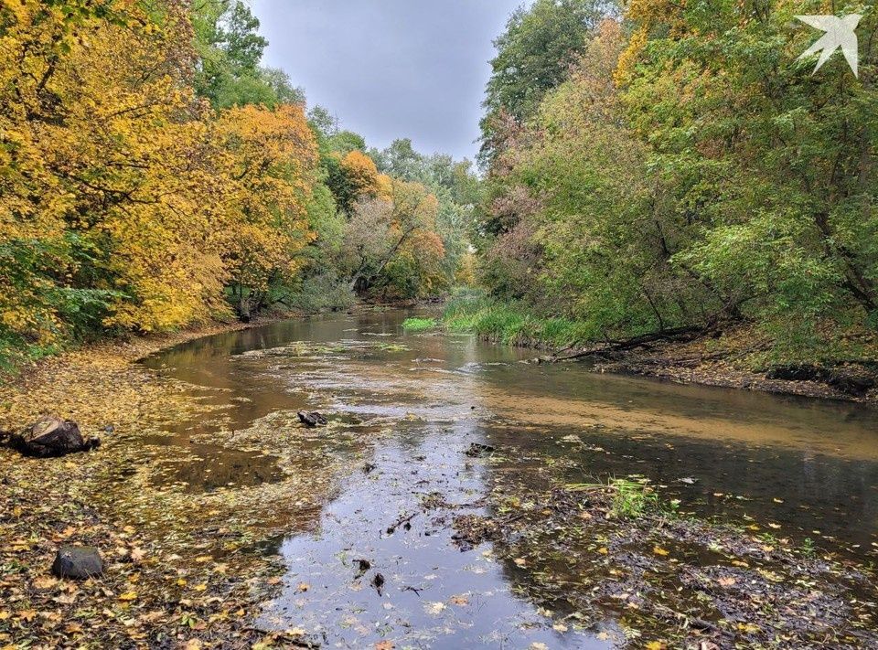 Ноябрь 2025: белорусов ждут важные изменения в жизни и финансах