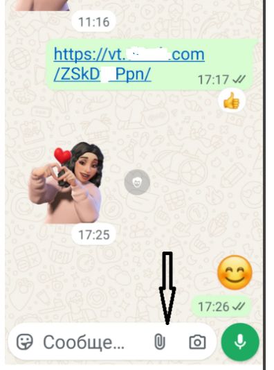 Легкие решения для частых проблем в WhatsApp
