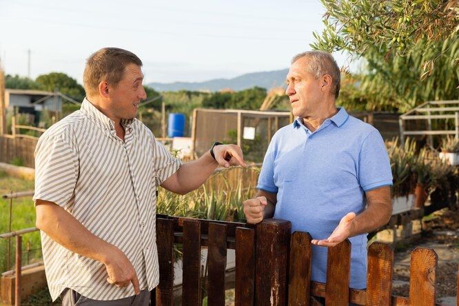 Как соседские споры могут обернуться финансовой выгодой: полезные советы для дачников