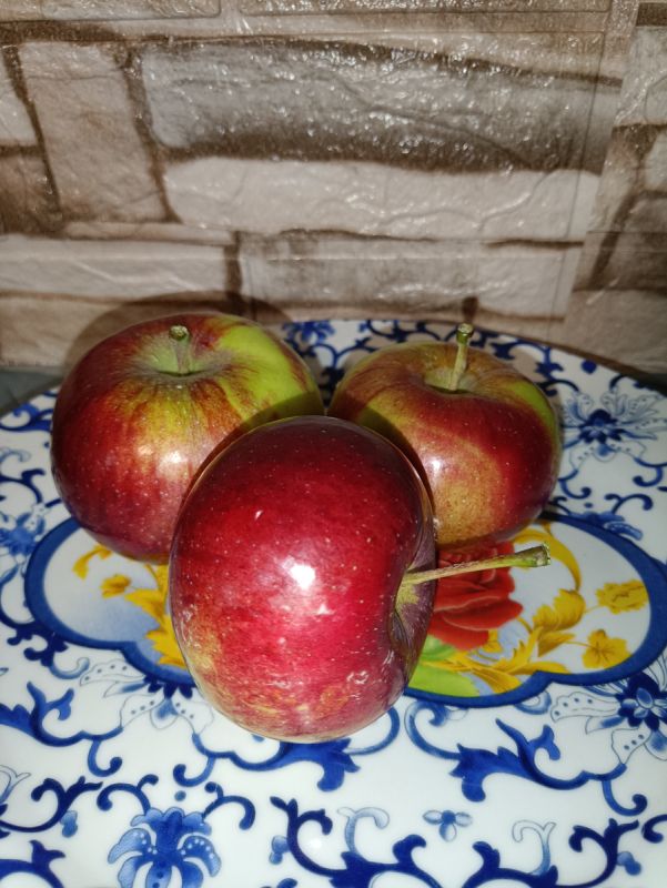 Возвращение к кулинарным экспериментам: новые рецепты и вдохновение на кухне