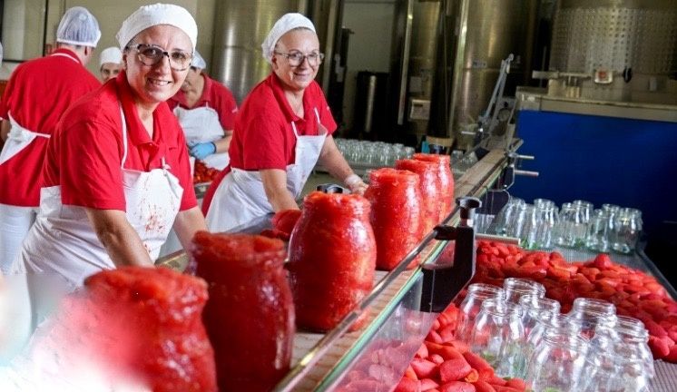 Наследие итальянских томатов: как приготовить соусы, которые завоевали сердца гурманов