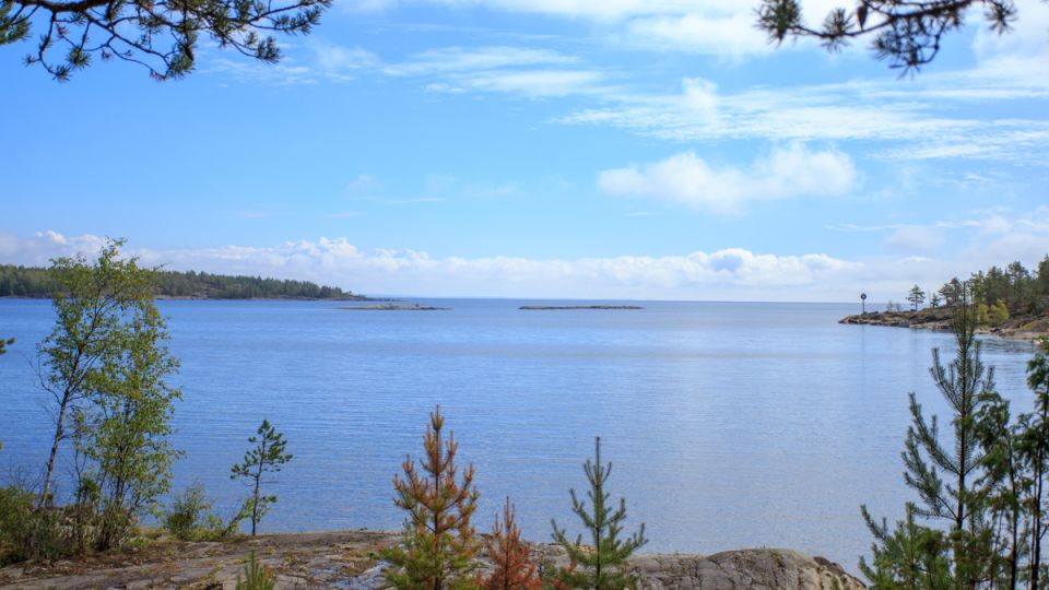 Секреты ладожской рыбалки: разнообразие, вкусы и гастрономия
