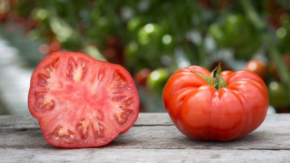 Почему современные помидоры теряют сладость: скрытые причины