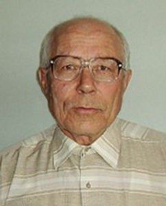 Уникальная черная смородина Пигмей: новая звезда среди садоводов