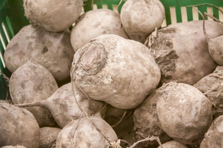 "Освежающий суп": как приготовить свекольник с йогуртом - приятно удивит вкусом