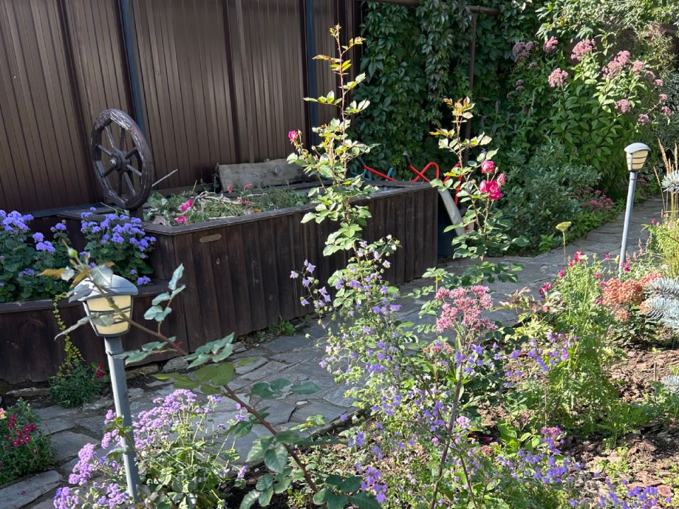 Яркая палитра осеннего сада