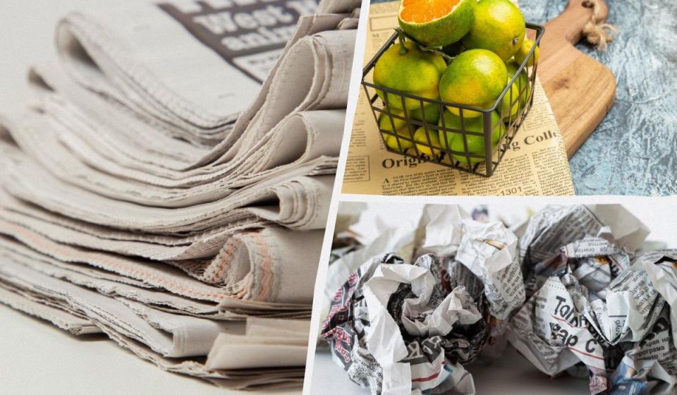 Как старые газеты могут стать настоящим золотым запасом для вашего дома и сада