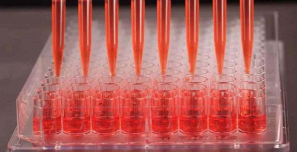 Искусственный интеллект: как роботы революционизируют научные исследования