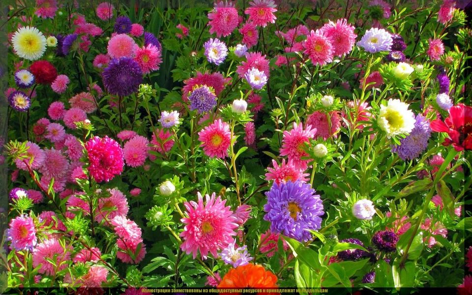 ��� ����� ������ �������� ������ ����: ������� ���������� ������ � ���������� ������