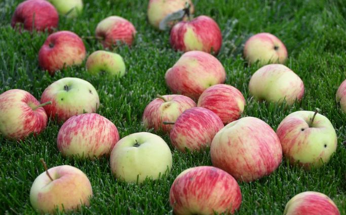 ������ ������ ���������� ����� �����: ������� ������� � ������ �� �������� ������