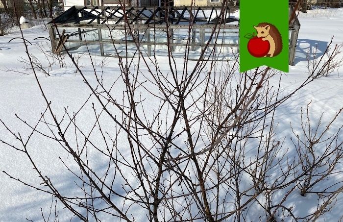 ��� ��������� ������ ���� ������ �� ��� ��� � ������?