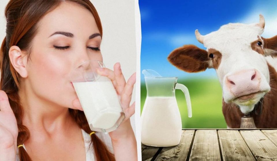 ��� ������������ ������ ����������� ������: �������� ��������, ������������� � �����������