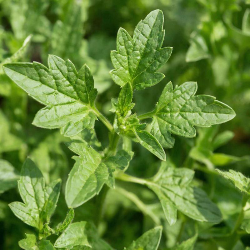 10 ���������� ��������� ������ � ���������: ��� ��������� ������